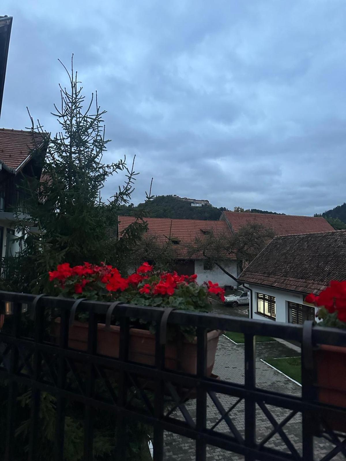 Pensiunea Casa Saxonia Rîşnov Екстериор снимка