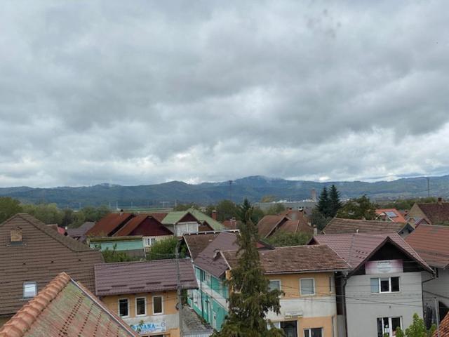 Pensiunea Casa Saxonia Rîşnov Екстериор снимка