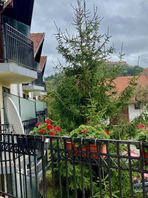 Pensiunea Casa Saxonia Rîşnov Екстериор снимка